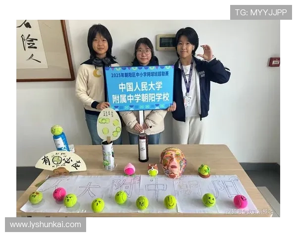 武汉网球队在全国网球团队协作排行榜中荣获第九名的佳绩分析